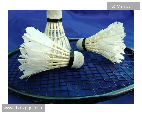 从零基础到羽毛球高手的全面技术提升指南与实战技巧分享 从零基础到羽毛球高手的全面技术提升指南与实战技巧分享