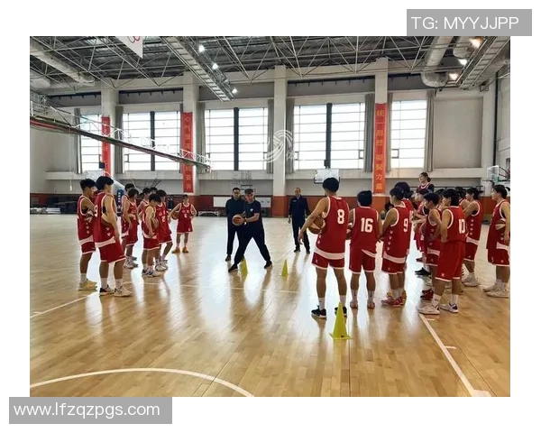 北京排球队团队协作引发热议球迷对战术配合和球员默契提出不同看法 北京排球队团队协作引发热议球迷对战术配合和球员默契提出不同看法