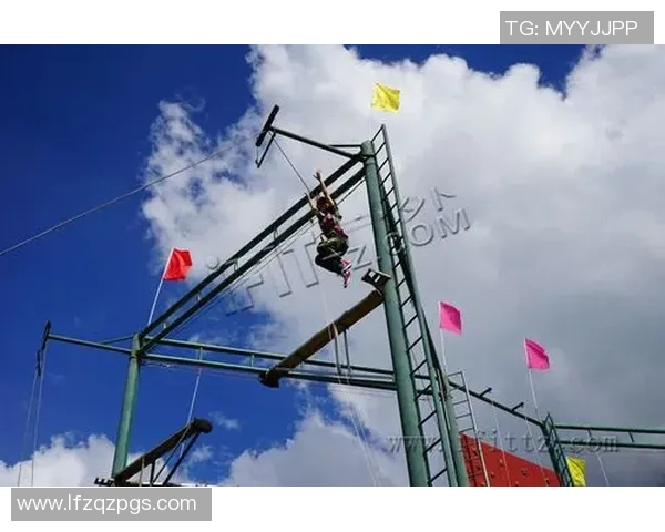 武汉飞盘队的转型之路：从业余爱好到竞技舞台的飞跃与挑战