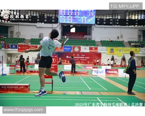 羽毛球战术解析：深入探讨上海羽毛球队的战术控制与团队协作体系